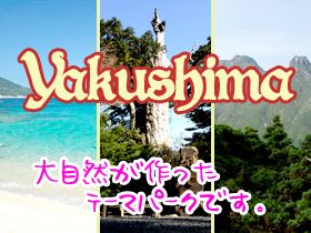屋久島に住む！！離島での生活の始まり！！