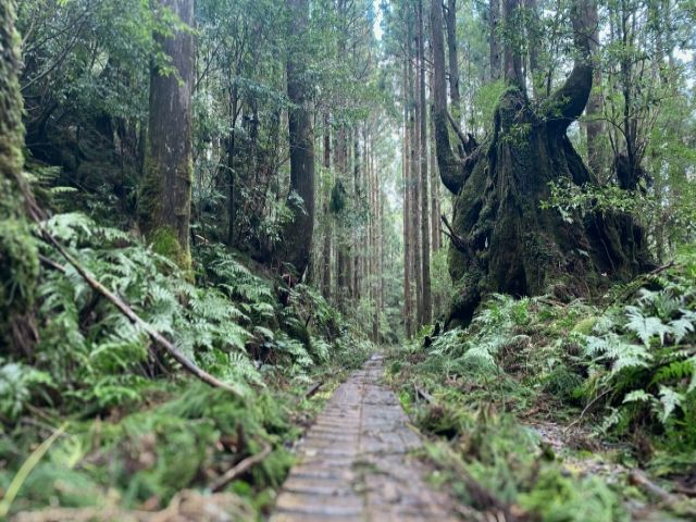 休日はガイドツアーに参加してトレッキングもいいのでは！？オススメですよ！