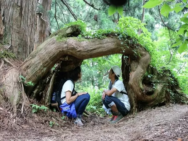 自然豊かなエリアになります。休日はリフレッシュできます！