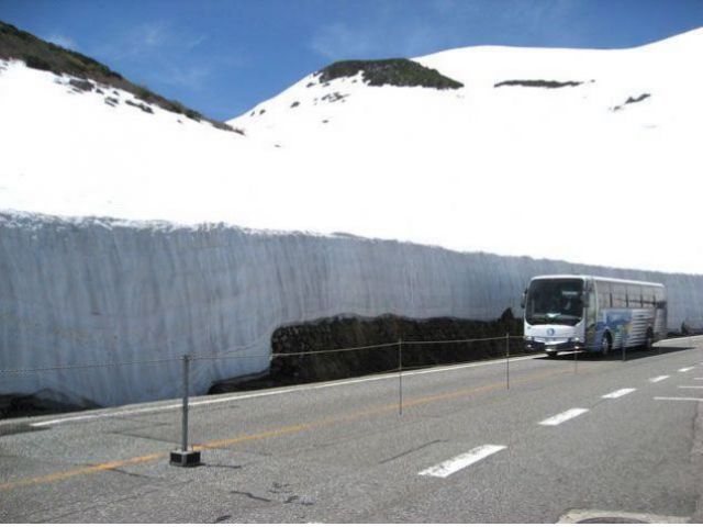 4月中旬から6月中旬頃までは「雪の谷ウォーク」が有名ですよ♪