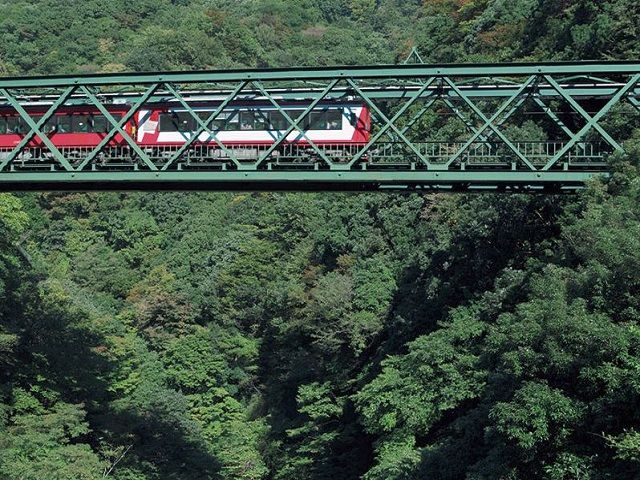 箱根エリアの中でも自然に囲まれたエリアですが、近くにバス停もありアクセスは抜群です！