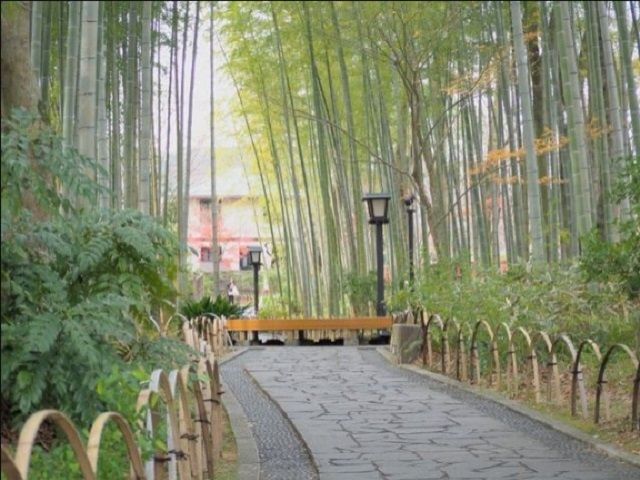 有名な「竹林の小径」♪修善寺は素敵な観光地です！！