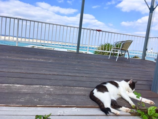都会の喧騒から離れて。。。離島で自然を感じながら生活してみませんか？心機一転にも♪