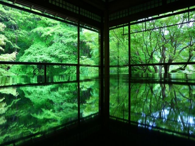 幻想的な景色