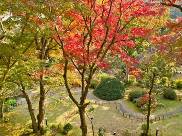 旅館の中庭★四季折々の景色の移ろいは圧巻の一言！