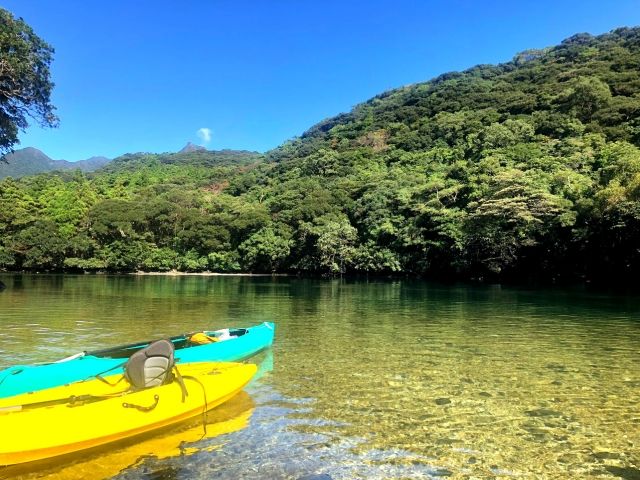 夏の屋久島のお仕事です！