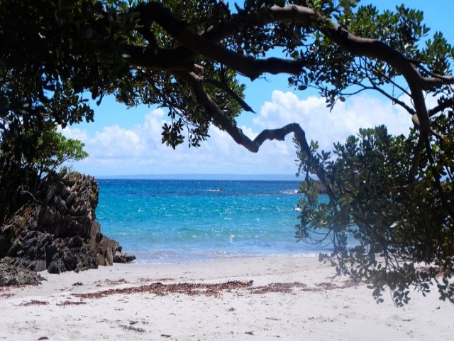 きれいな海も広がっていますよ！