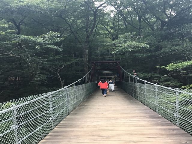 吊り橋！眺めはさいこ～