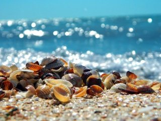 夏リゾバ！海水浴場が目の前で、派遣スタッフ多数在籍☆休日も3食無料で貯金にも！