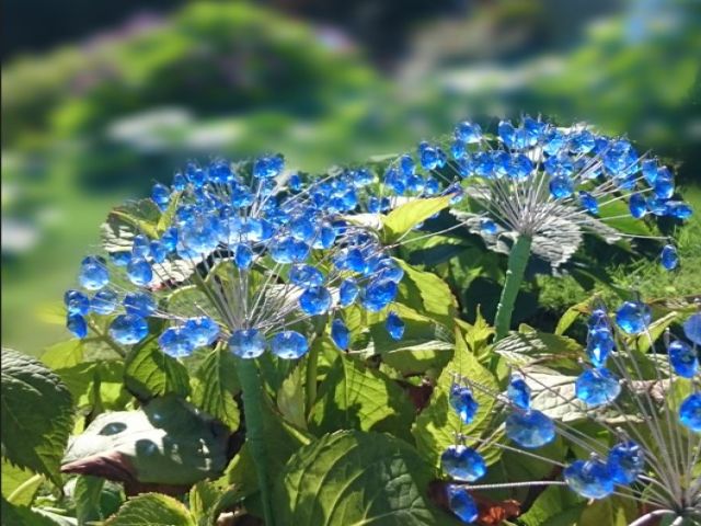 観光スポットも盛りだくさんな
贅沢な温泉地です