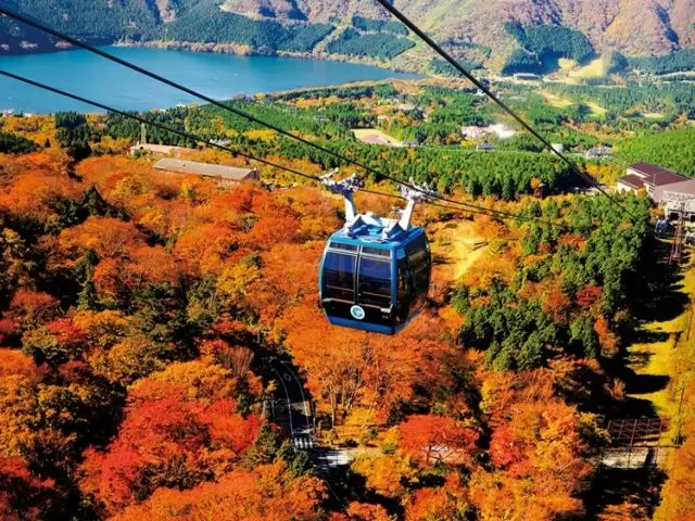 箱根の雄大な自然の宝庫★