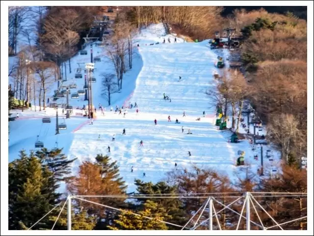 軽井沢には実はスキー場があるんです！！