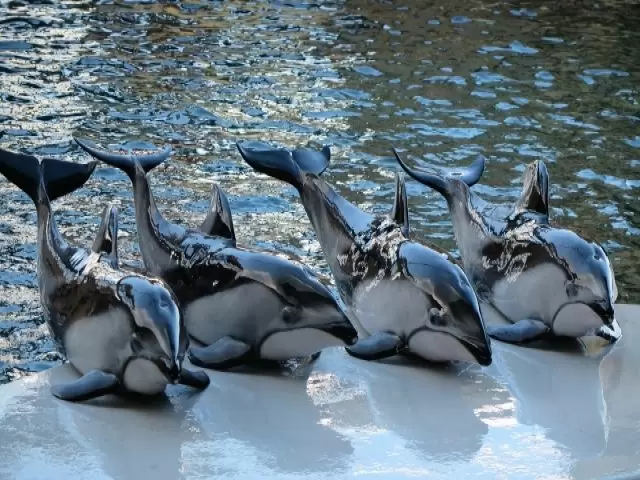 近くには水族館もあるので休日にどうぞ♪