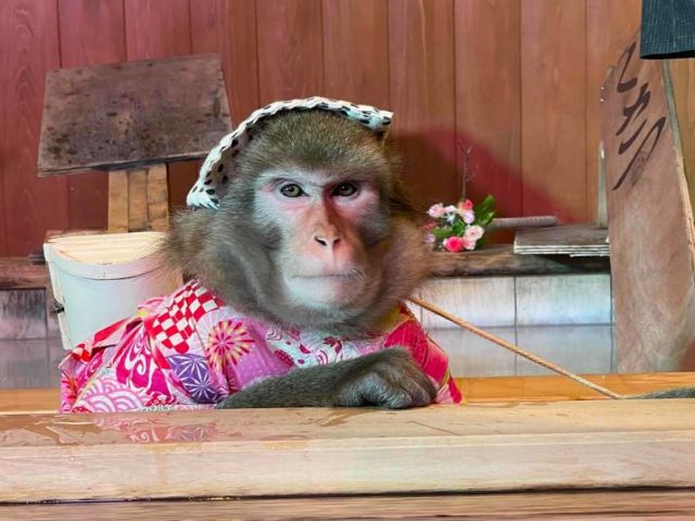草津温泉おさるの湯もみ処　「おさ湯」とっても可愛いです☆彡