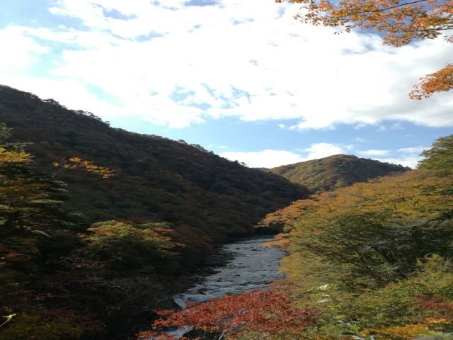 那須の四季はとても美しいです！