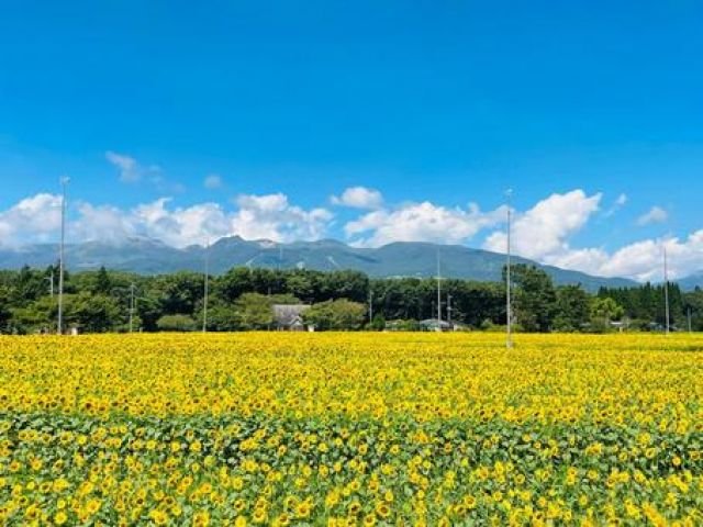 夏に向けて避暑地へのご移動いかが？