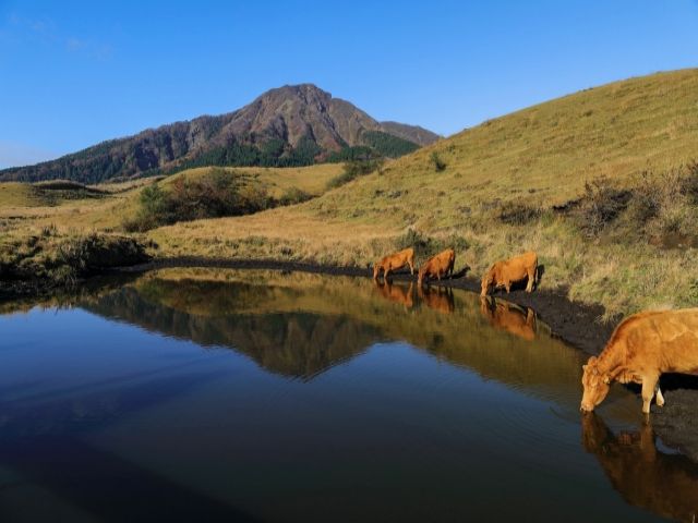 空気がとってもきれいな黒川エリア☆