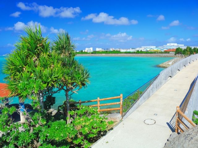 移住を希望したい方なども是非！