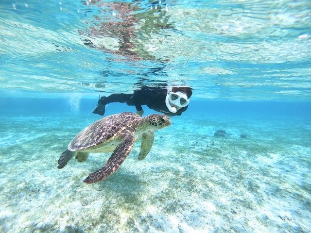 「東洋一美しい海」と言われて名高い宮古島。何年たっても忘れられない美しい景色がここにある！
