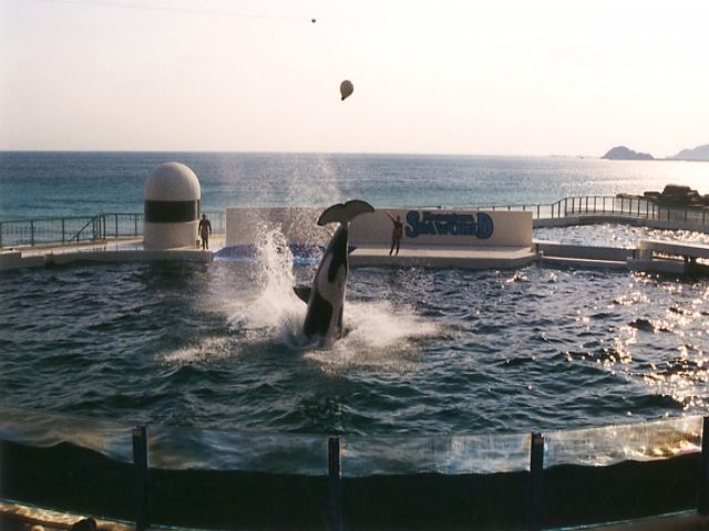 目の前は海！！周辺にはサーフスポット多数！！休日も楽しめます！