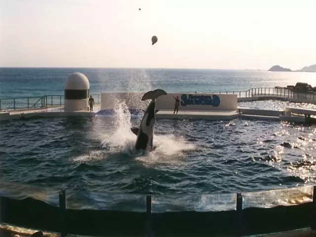 目の前は海！！周辺にはサーフスポット多数！！休日も楽しめます！