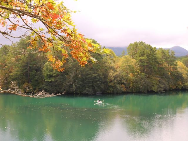紅葉もとてもきれいです☆