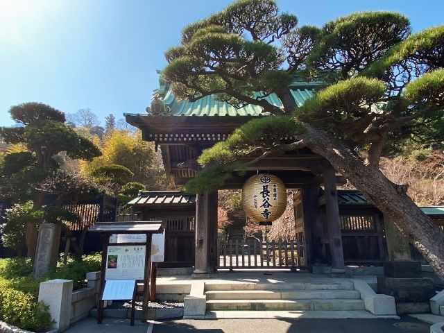 鎌倉の神社仏閣巡りも出来ますよ
