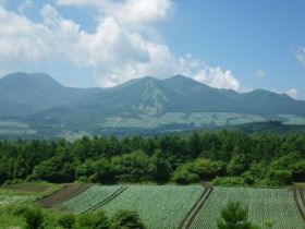 嬬恋と言えば、「キャベツ」です♪