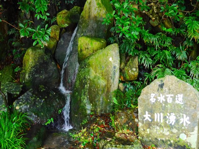 自然がいっぱい！
緑に癒されませんか？