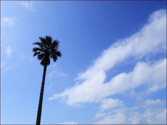 碧い海と空が眩しいです！！