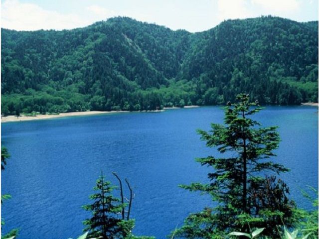 自然に癒されリフレッシュちゃいましょう(*ﾟ▽ﾟ)ﾉ