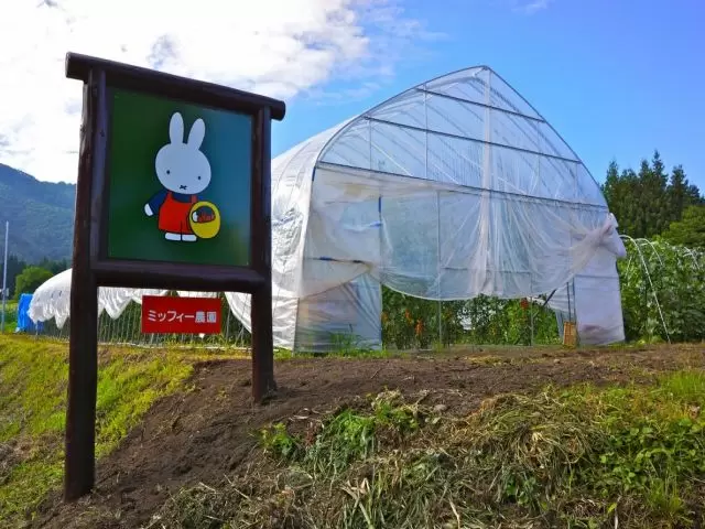 野菜の収穫体験などもあります！