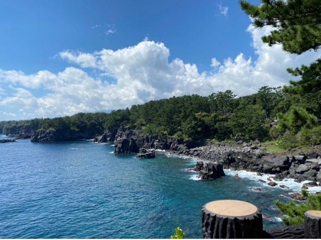 海も山も美味しいものもたくさんある伊豆高原♪