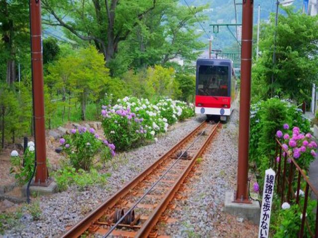 お休みは箱根巡り？観光へGOGO！
