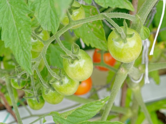 未経験でも丁寧に教えてくれますよ！