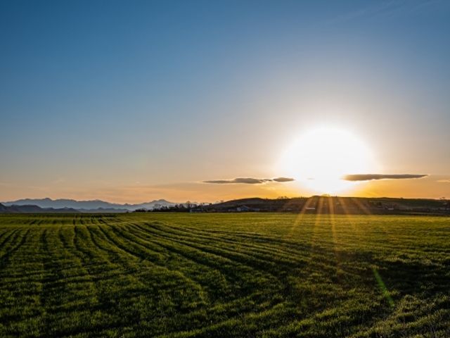 農業に携わってみたい！その気持ちが大切です！