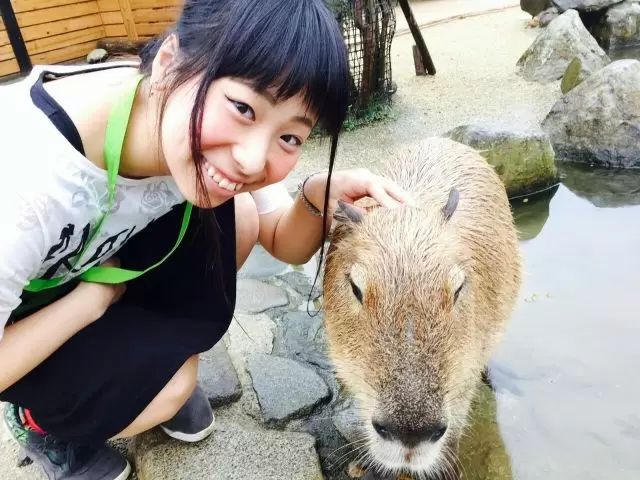 カピパラに会いに行きませんか？