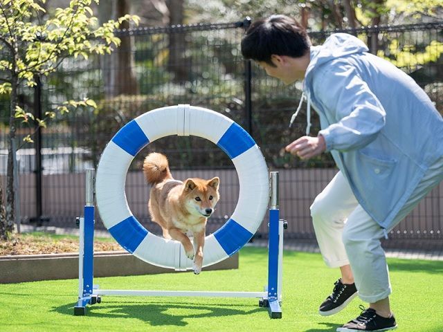 ドッグラン完備のホテルです。犬好きな方にはイチ押しです！