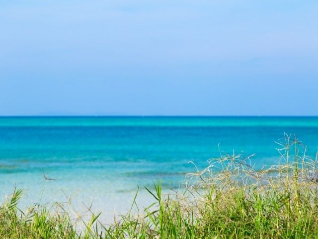 移住を希望したい方なども是非！住宅手当支給あり