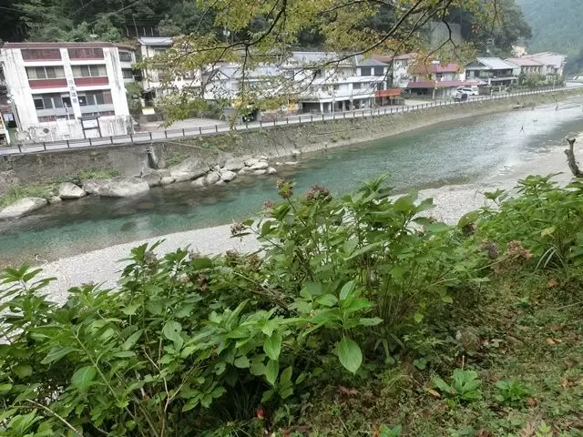 施設の裏には川が流れています