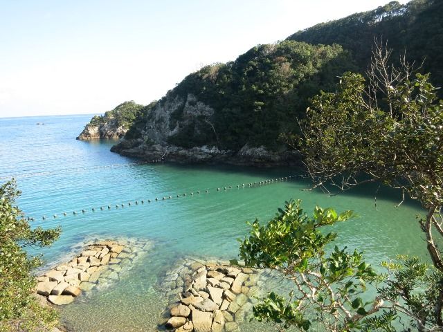 自然も豊富ですが、町内にはコンビニや飲食店・ドラッグストア等も充実で暮らしやすさ◎