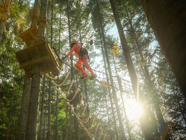 いざニセコへ！