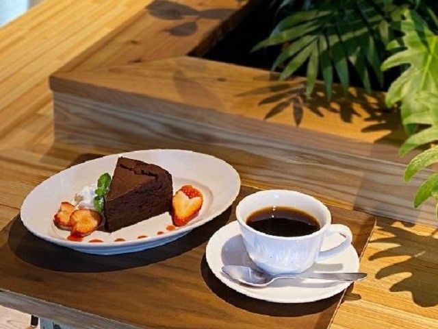 提供料理の一例です