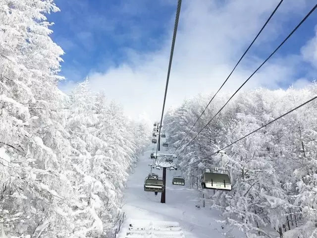 樹氷で有名な山形蔵王！