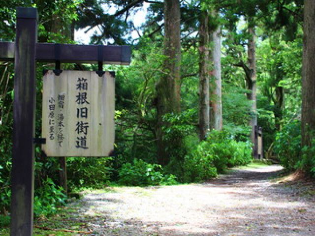 休日は箱根を満喫しましょう！