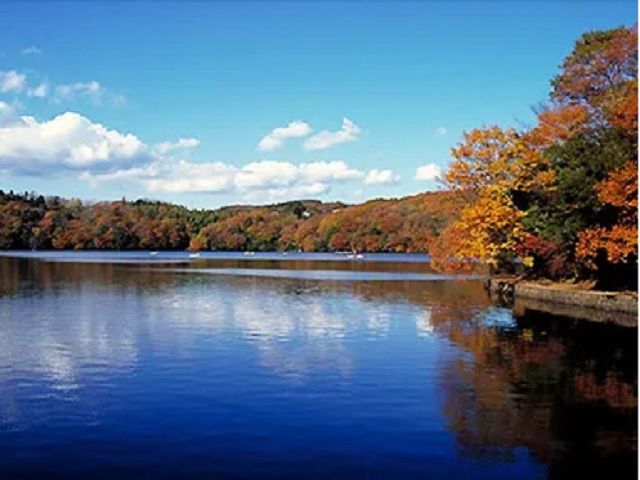 車で10分圏内にある一碧湖です。綺麗な景色を堪能してみてくださいね～