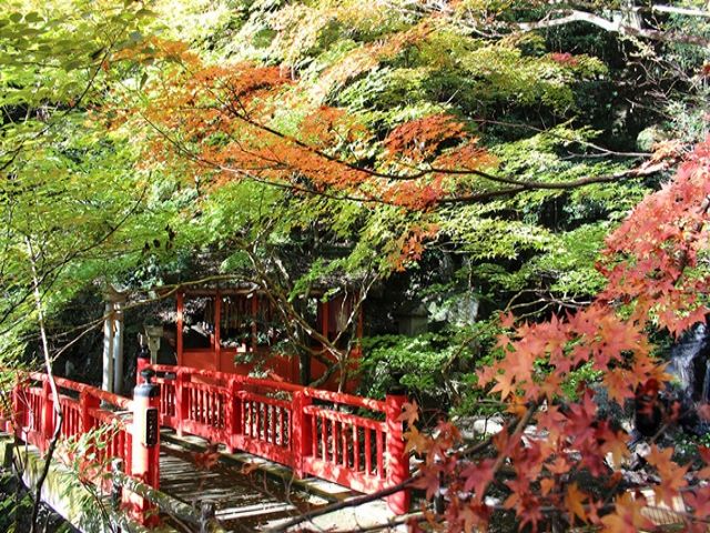 近辺観光名所イメージ