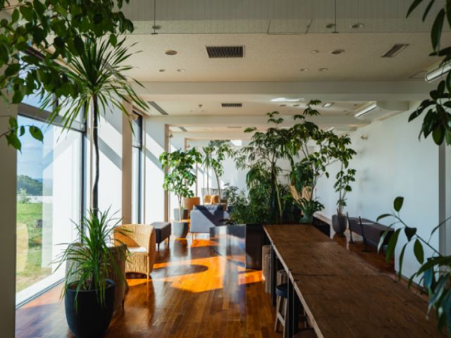 リニューアルされたレストランで内装は明るくステキです☆