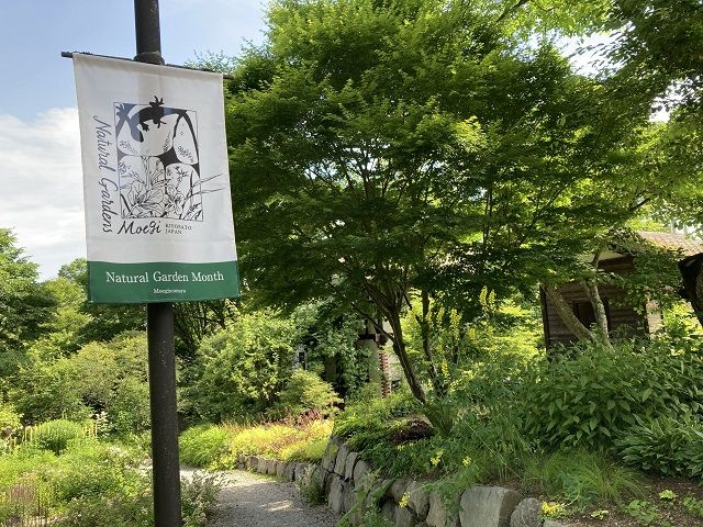 緑に囲まれて心も体もリフレッシュ♪