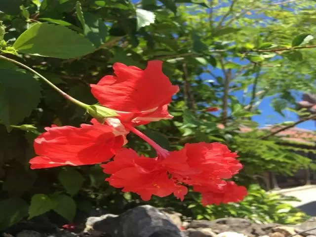 離島Lifeするなら宮古島へ～(^^)/